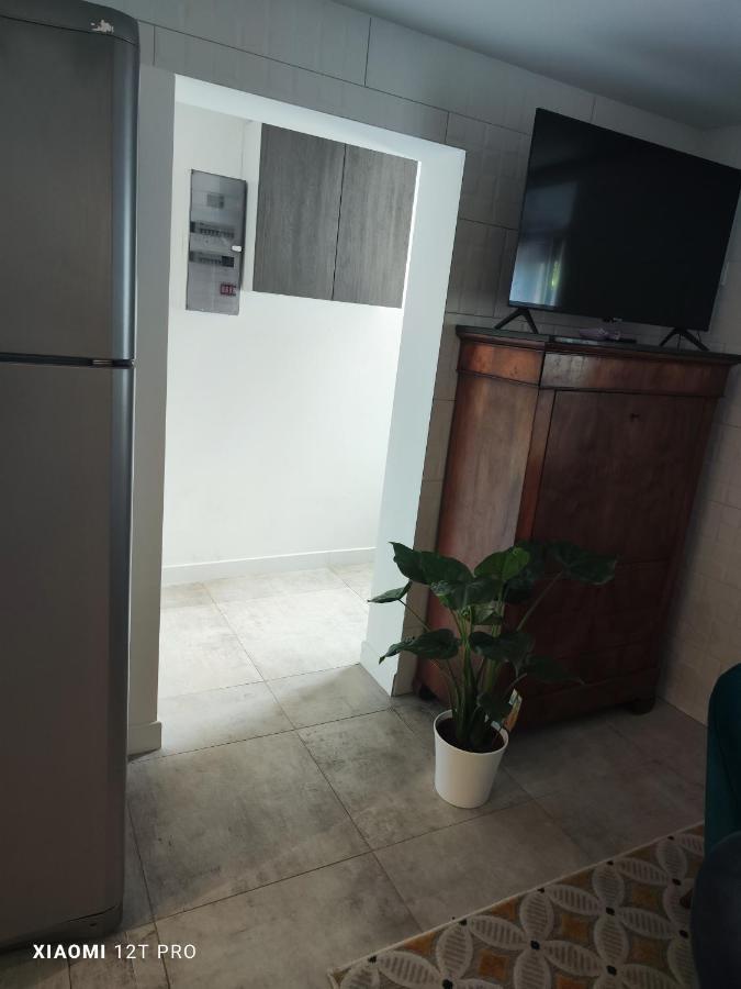 Appartement Renovee Dans Maison Ancienne Amancy Extérieur photo